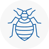 Bed Bug Extermination In Litherland